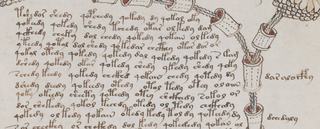 A clip of the manuscript. (Image: Beinecke Rare Book & Manuscript Library, Yale University)